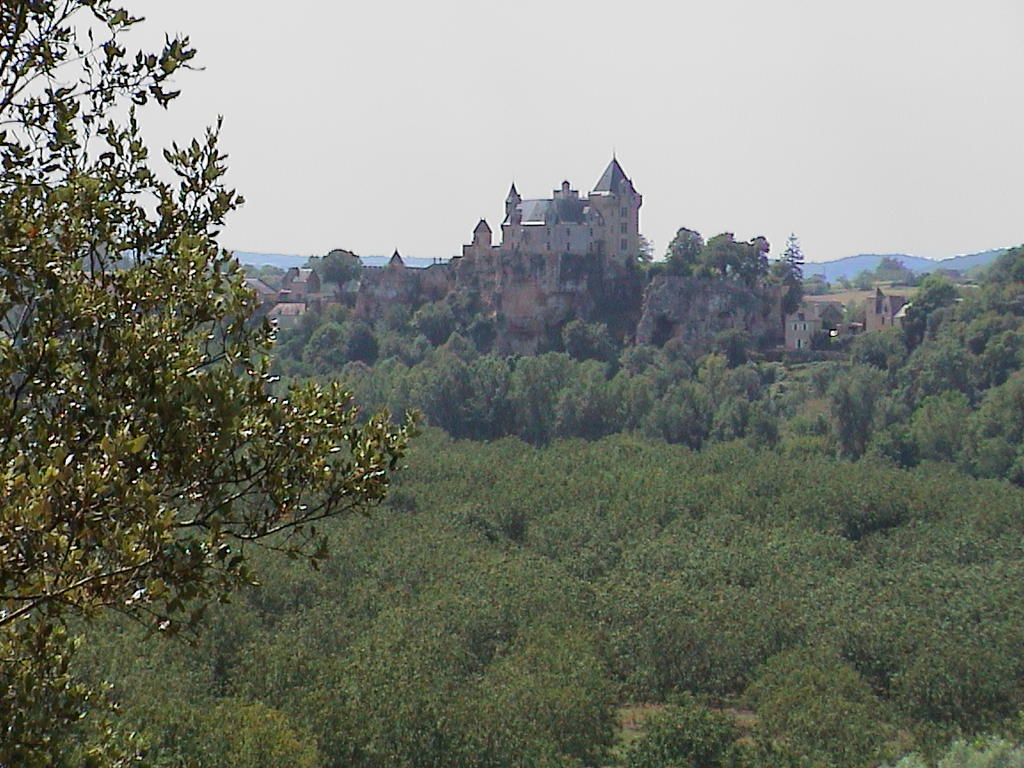 dsc00106.jpg