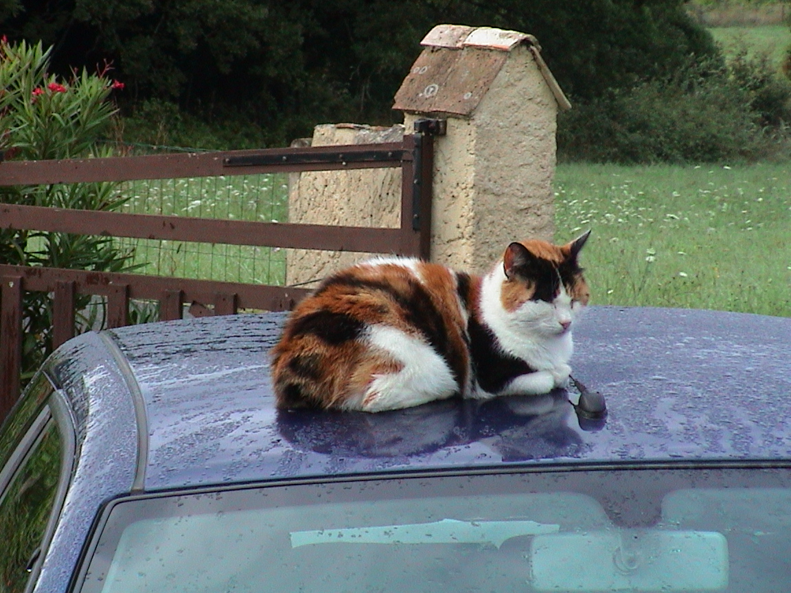 dsc00140.jpg