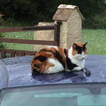 dsc00140.jpg