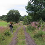 dsc00001.jpg