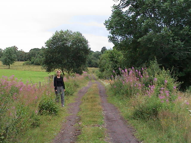 dsc00001.jpg