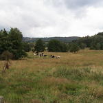 dsc00002.jpg