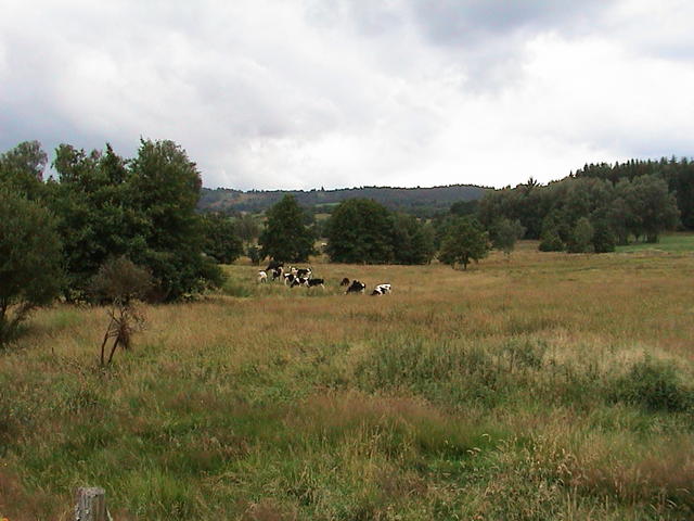 dsc00002.jpg