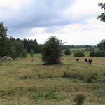 dsc00003.jpg