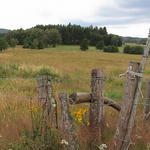 dsc00004.jpg