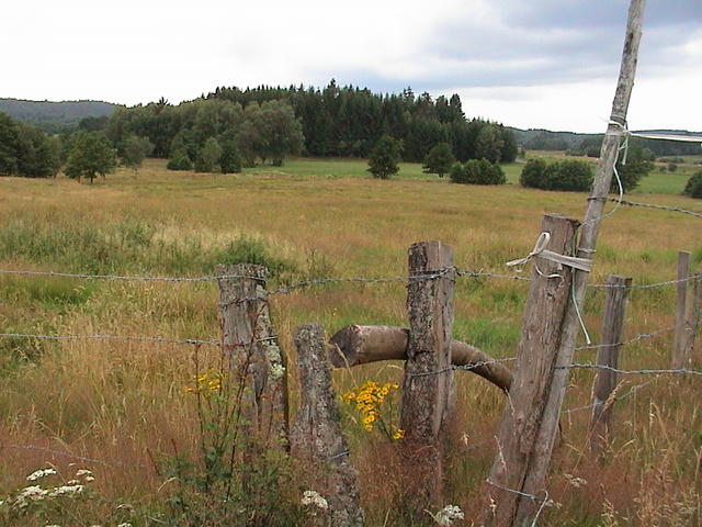 dsc00004.jpg