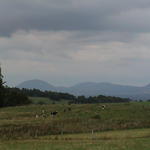 dsc00008.jpg
