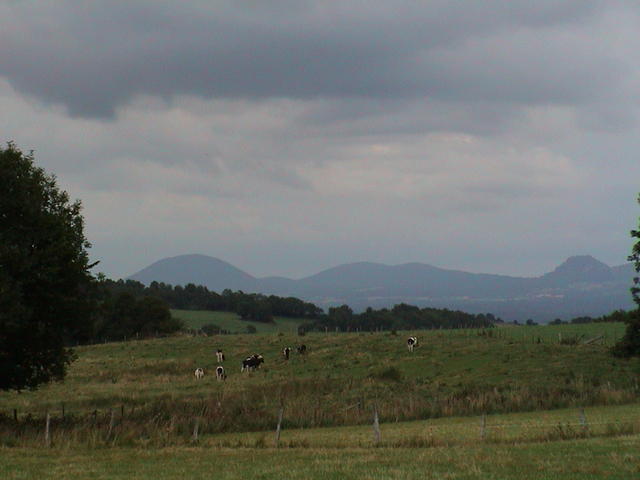 dsc00008.jpg