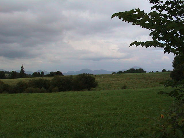 dsc00009.jpg