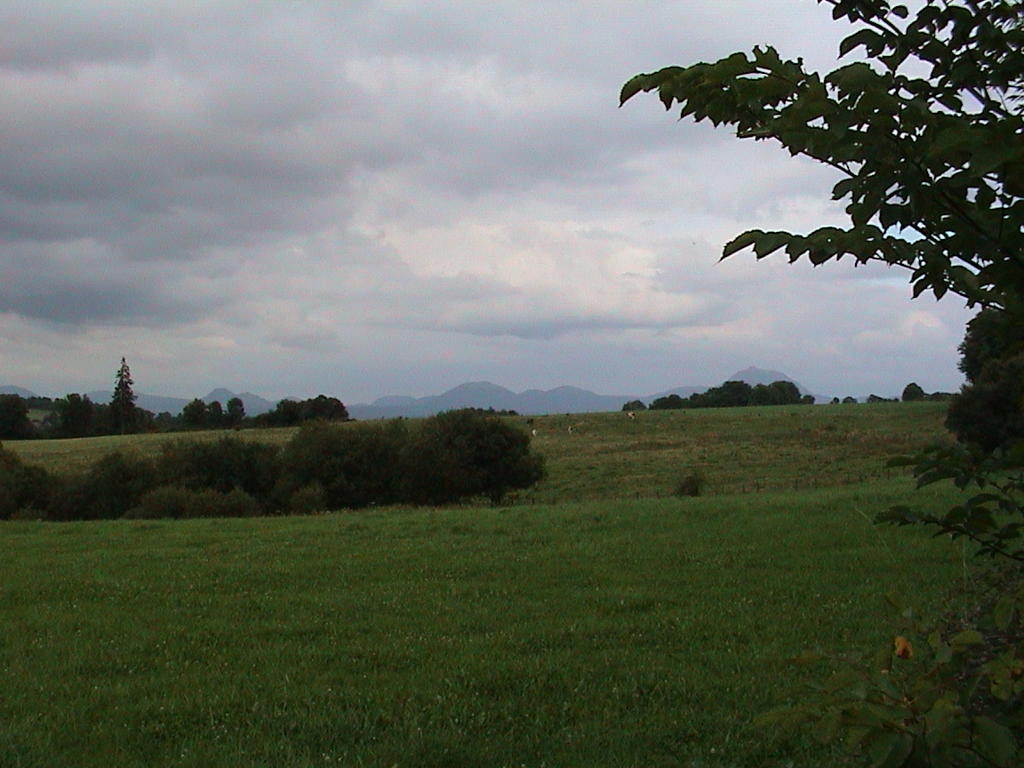 dsc00009.jpg