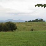dsc00010.jpg