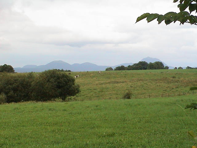 dsc00010.jpg