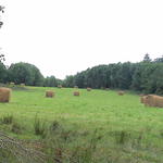 dsc00011.jpg