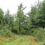 dsc00012.jpg