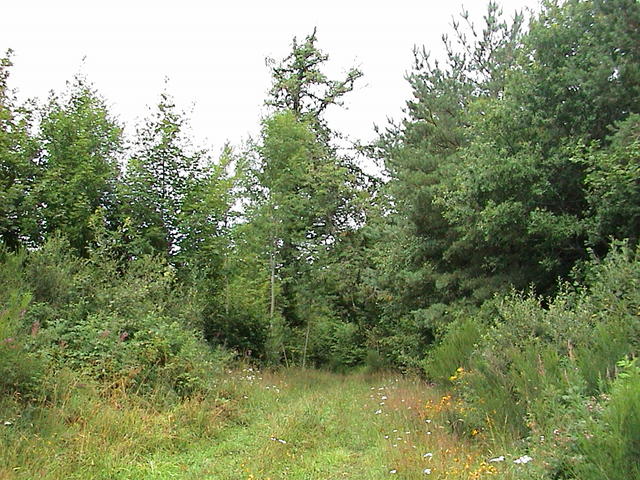 dsc00012.jpg