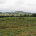 dsc00013.jpg