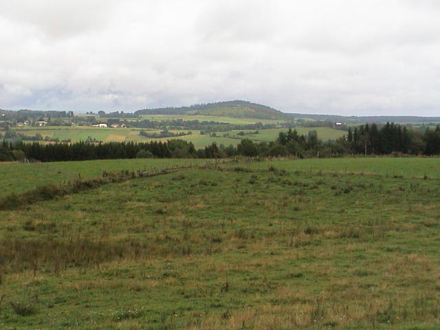 dsc00013.jpg
