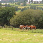dsc00014.jpg