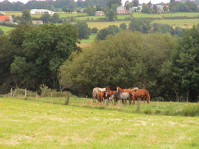 dsc00014.jpg