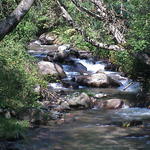 dsc00094.jpg