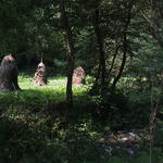 dsc00097.jpg
