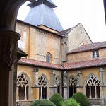 dsc00061.jpg