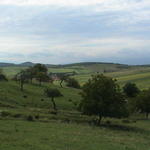 dsc00099.jpg