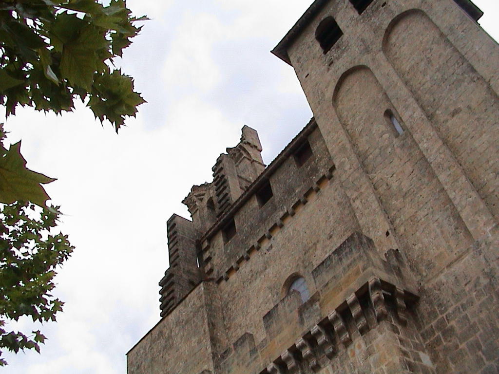 dsc00093.jpg