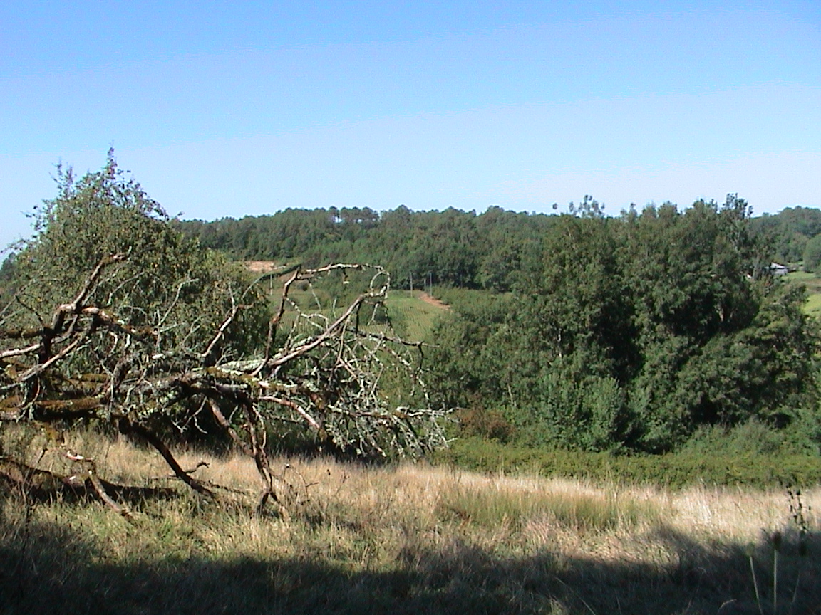 dsc00120.jpg