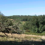 dsc00120.jpg