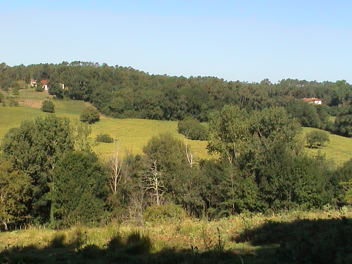 dsc00121.jpg