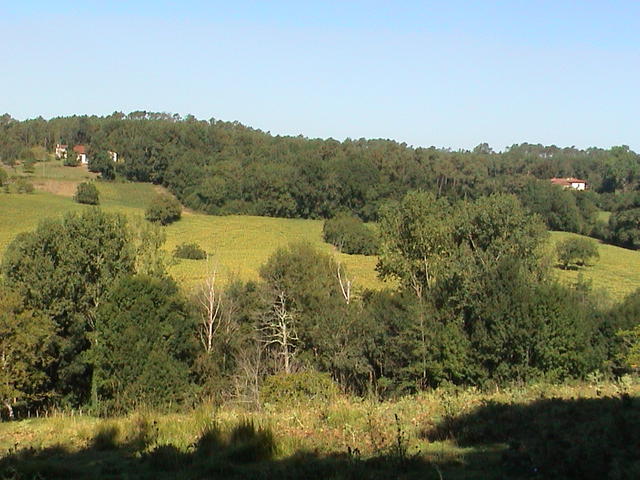 dsc00121.jpg