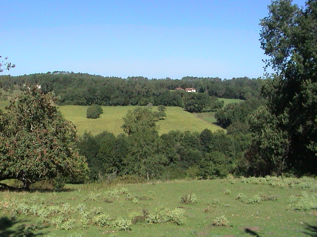 dsc00122.jpg