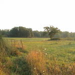 dsc00124.jpg
