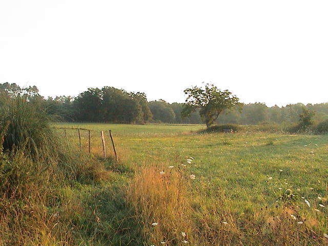 dsc00124.jpg