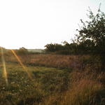 dsc00125.jpg