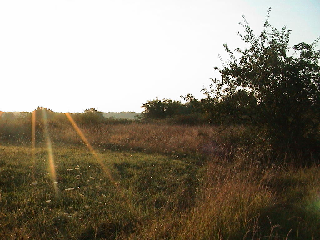 dsc00125.jpg