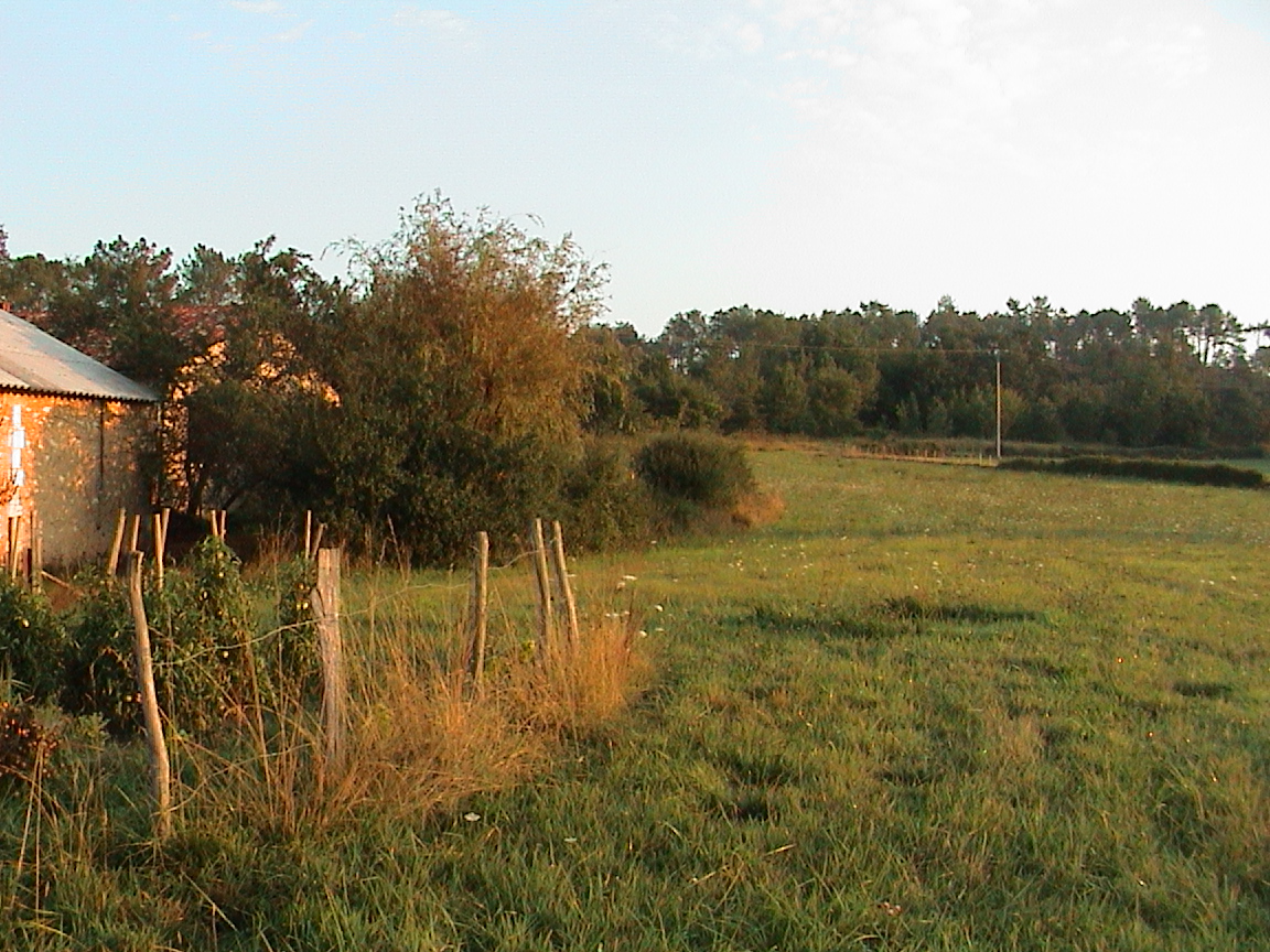 dsc00126.jpg