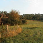 dsc00126.jpg