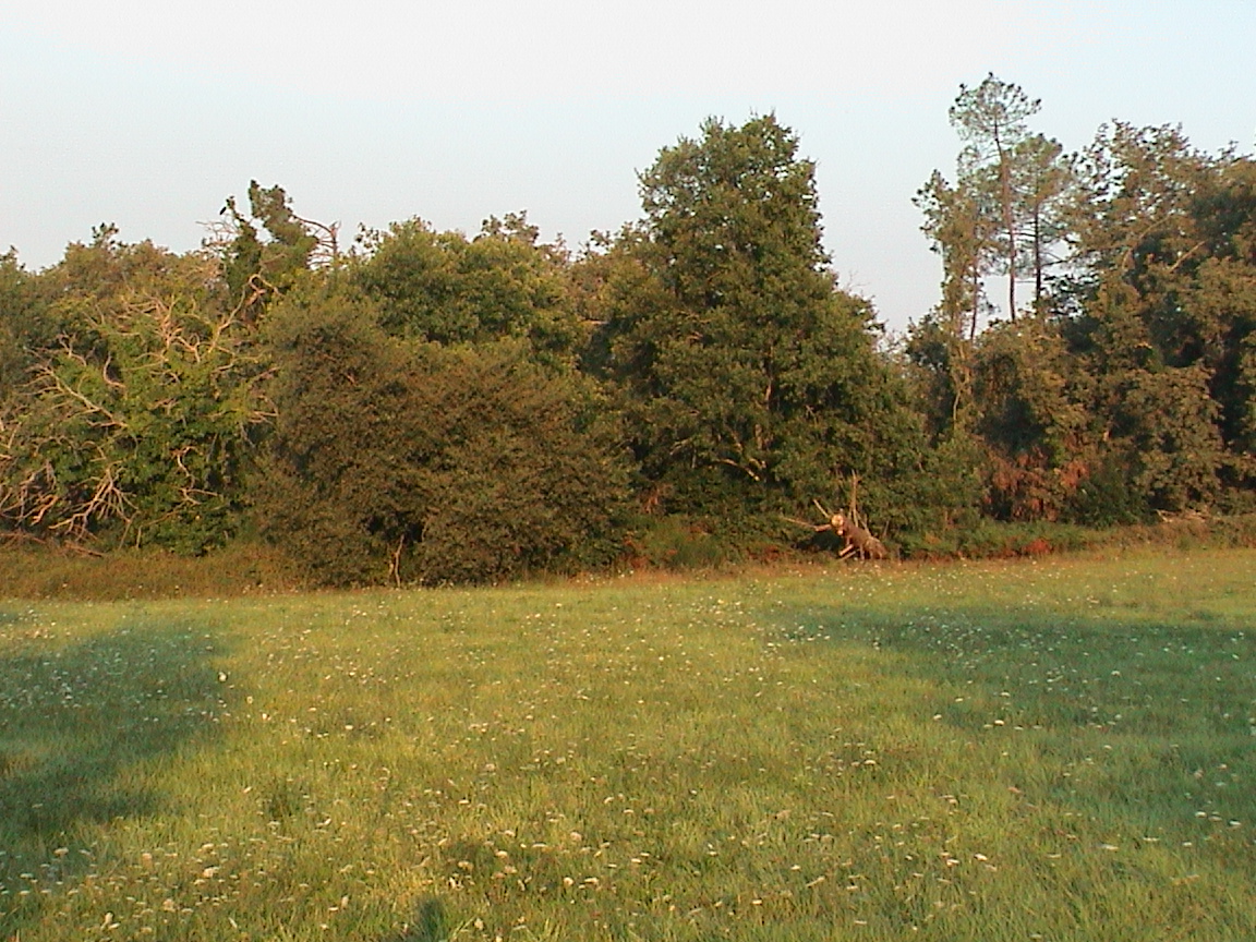 dsc00127.jpg