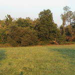 dsc00127.jpg