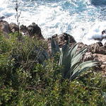 dsc00020.jpg