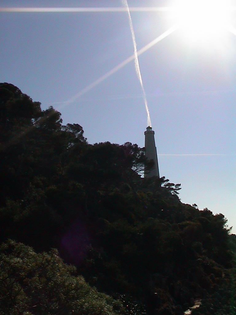 dsc00021.jpg