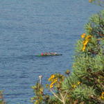 dsc00022.jpg