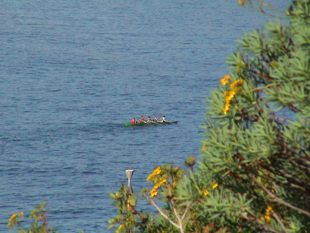 dsc00022.jpg