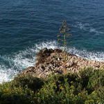 dsc00024.jpg