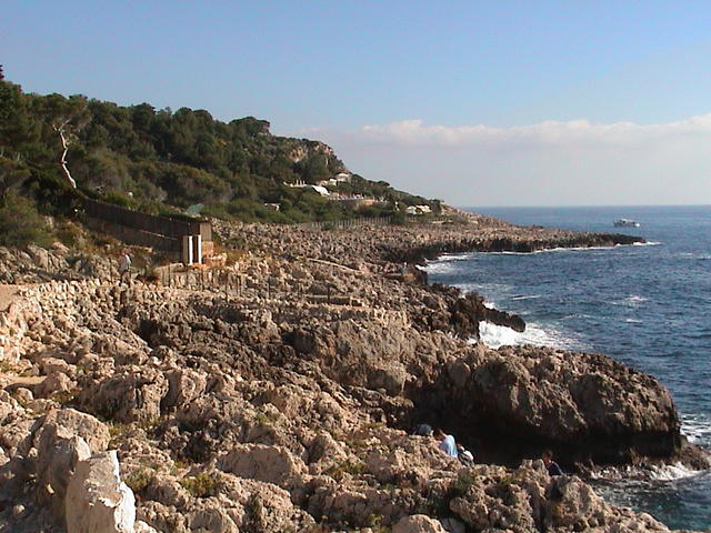dsc00025.jpg