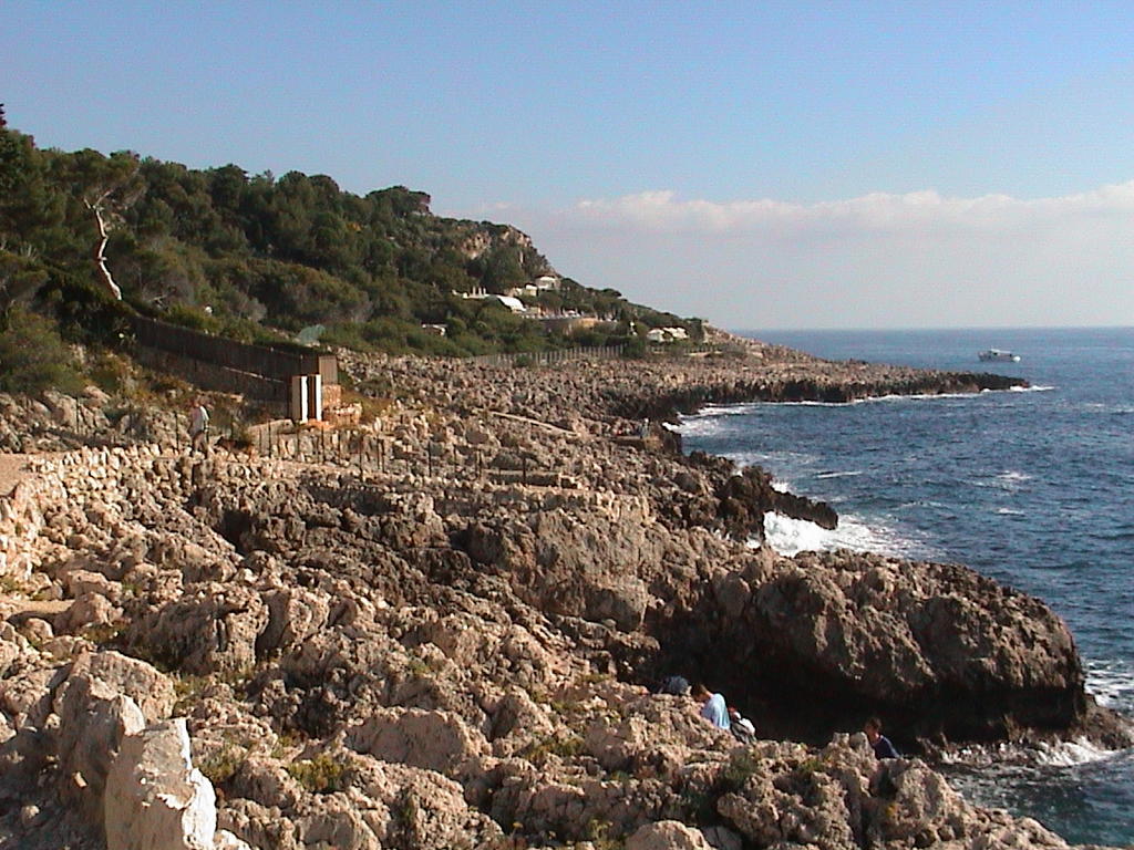 dsc00025.jpg