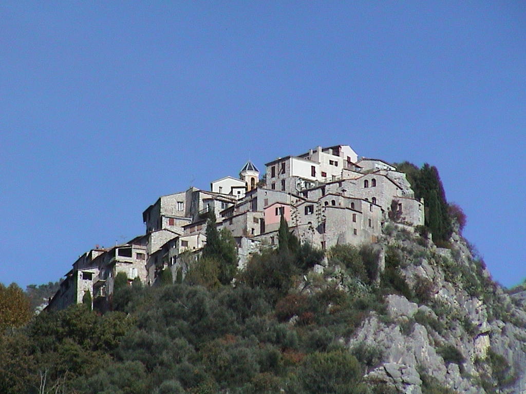 dsc00033.jpg