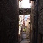 dsc00036.jpg